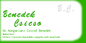 benedek csicso business card